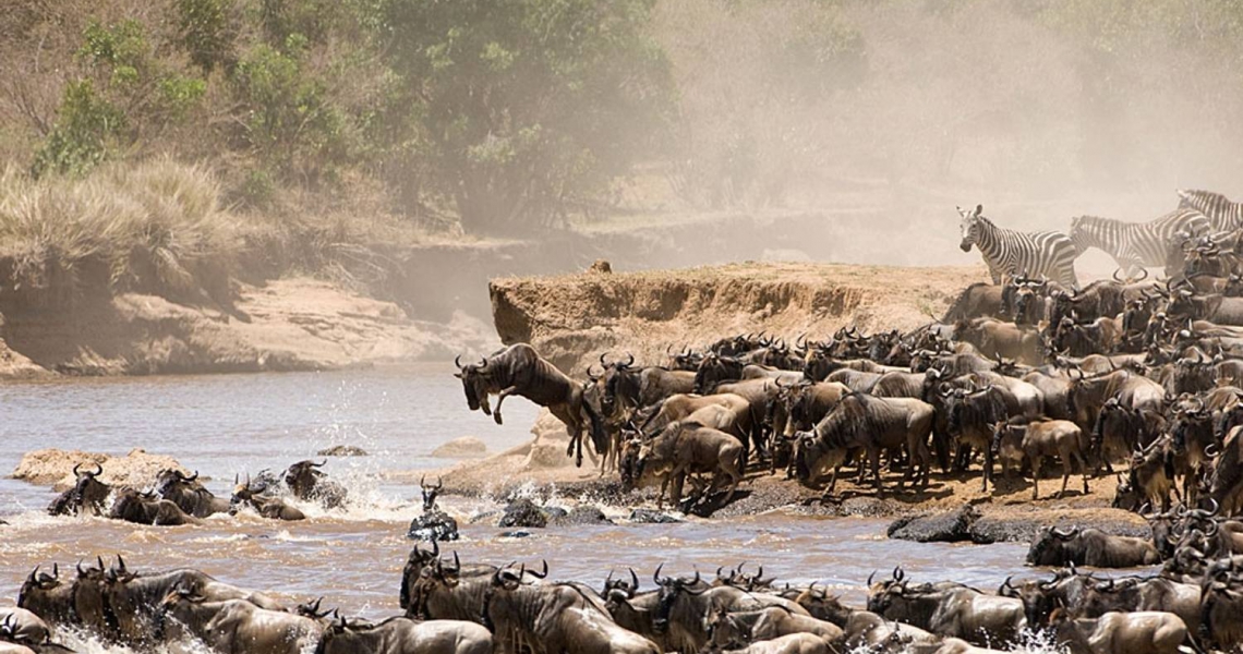 6 Days Great Migration Safari