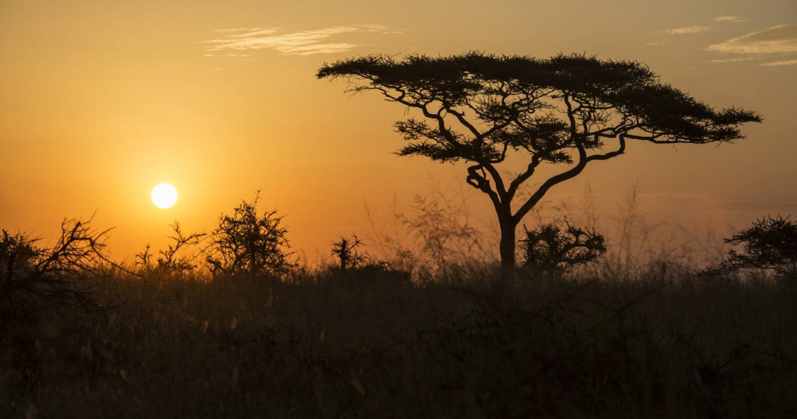 Tanzania Camping Adventure